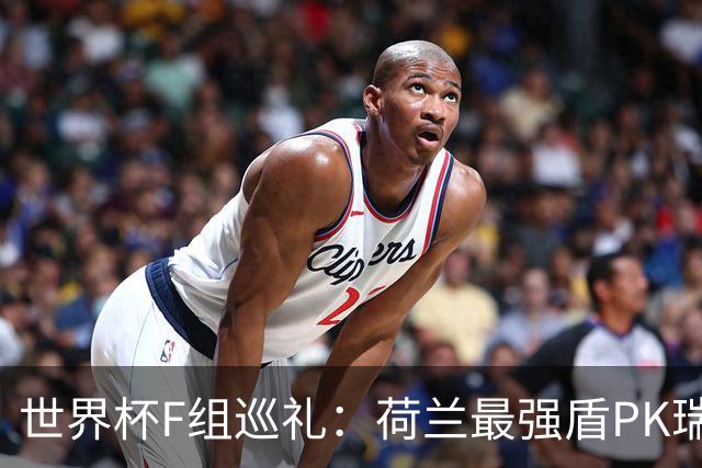 世界杯F组巡礼：荷兰最强盾PK瑞典犀利刀 日本短板明显
