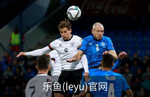 乐鱼(leyu)官网简介